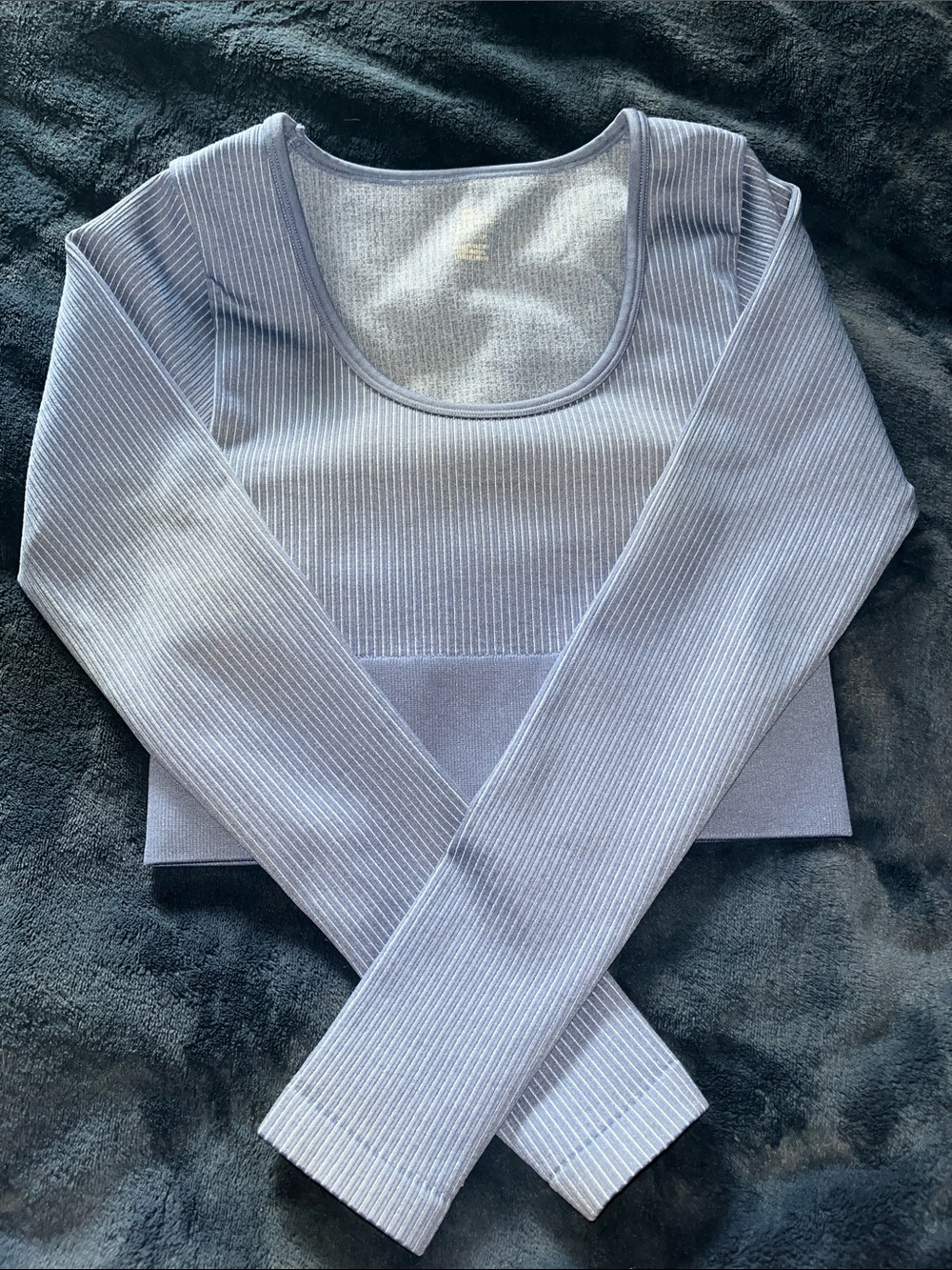 Long Sleeve Ribbed Scoop Crop Top